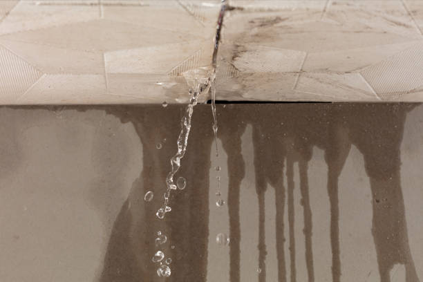 Professional Flood Damage Cleanup technician working in New Carlisle, IN